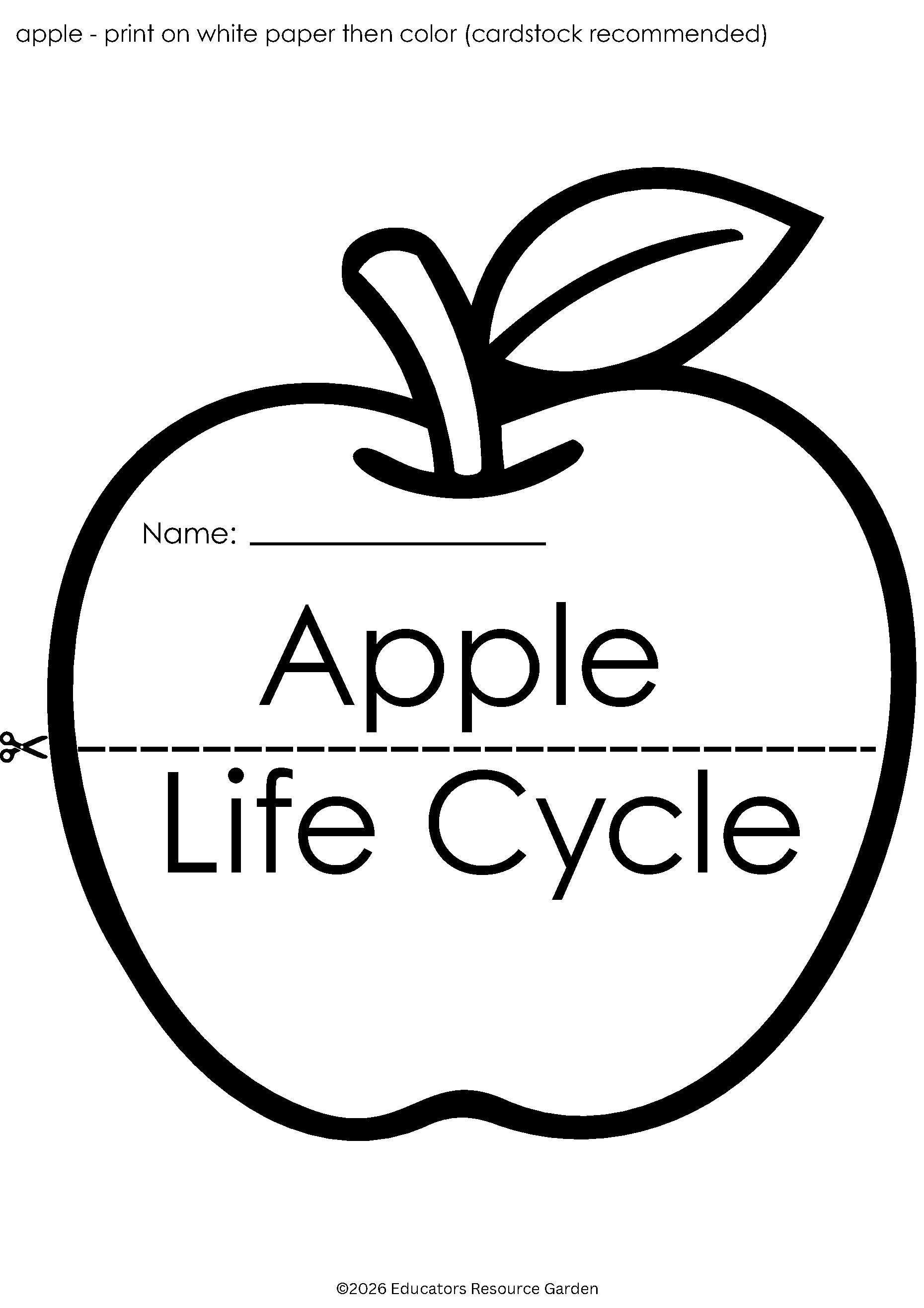 Apple Life Cycle Craft & Poster | Fall Science PreK-1 | Educators ...